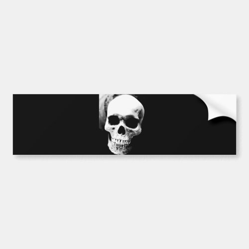 Black  White Skull Bumper Sticker