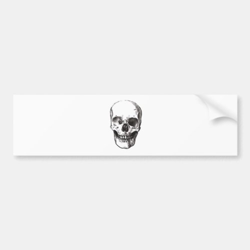 Black  White Skull Bumper Sticker