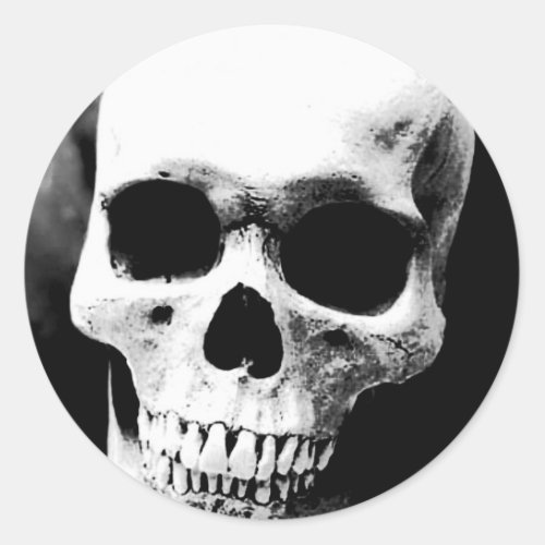 Black  White Skull Classic Round Sticker