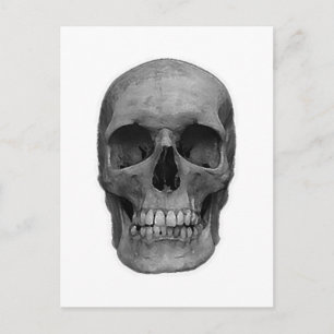 Black & White Skull Postcard