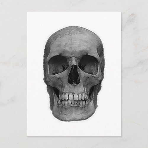 Black  White Skull Postcard