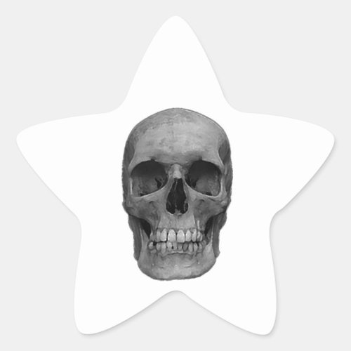 Black  White Skull Star Sticker