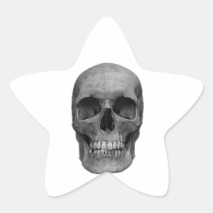Black & White Skull Star Sticker