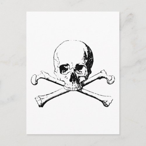Black  White Skull  the Bones Postcard
