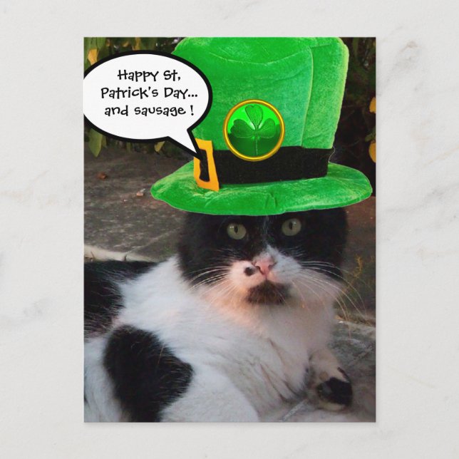 BLACK WHITE ST. PATRICK'S DAY CAT LEPRECHAUN HAT POSTCARD (Front)