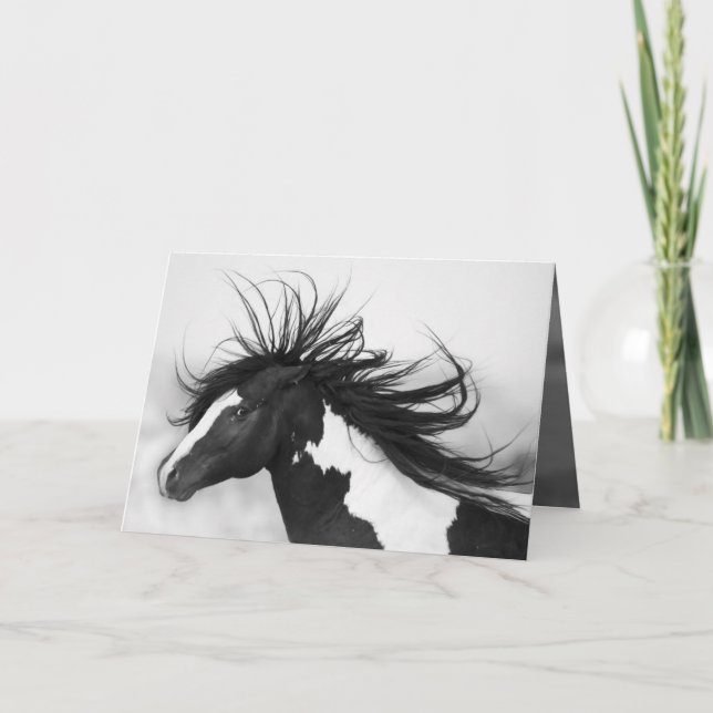 Black & White Stallion Wild Horse Greeting Card (Front)