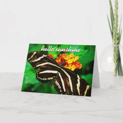 Black White Stripe Butterfly Hello Sunshine Script Card