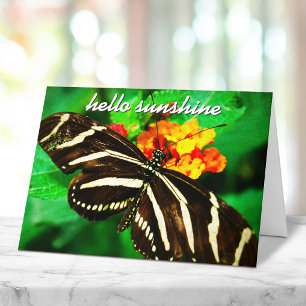Black White Stripe Butterfly Hello Sunshine Script Card