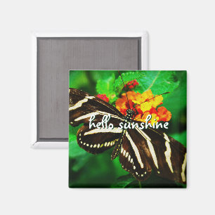 Black White Stripe Butterfly Hello Sunshine Script Magnet