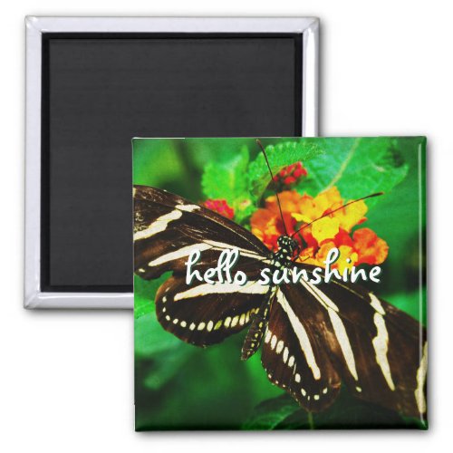 Black White Stripe Butterfly Hello Sunshine Script Magnet