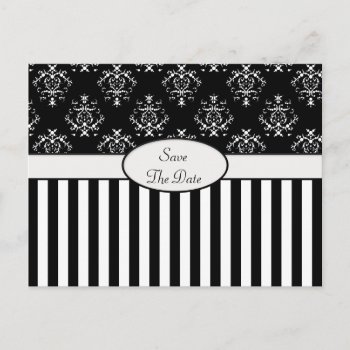Black & White Striped Baroque Announcement Postcard by StarStruckDezigns at Zazzle