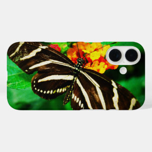 Black white stripes butterfly longwing zebra photo iPhone 16 case