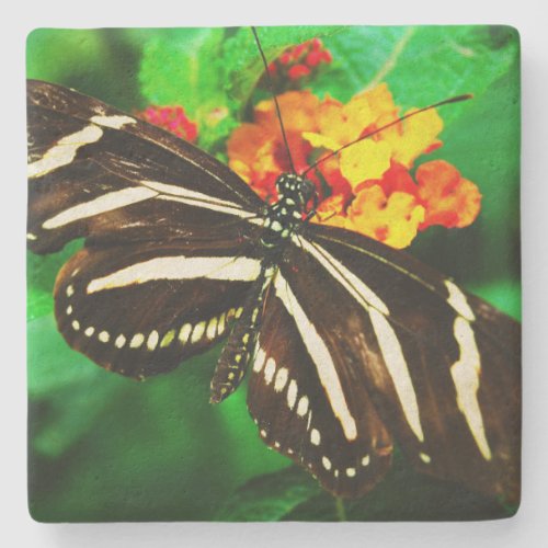 Black white stripes longwing zebra butterfly photo stone coaster