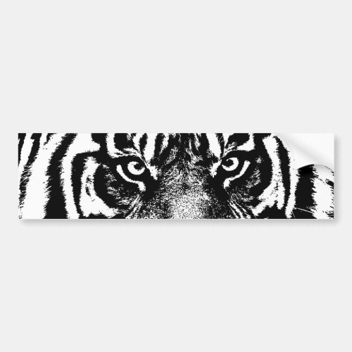 Black White Sumatran Borneo Tiger Eye Artwork Bumper Sticker