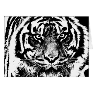 Black White Sumatran Borneo Tiger Eye Artwork Cards