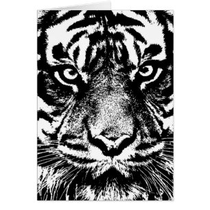 Black White Sumatran Borneo Tiger Eye Artwork Cards