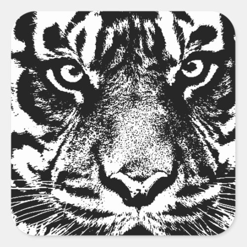 Black White Sumatran Borneo Tiger Eye Artwork Square Sticker