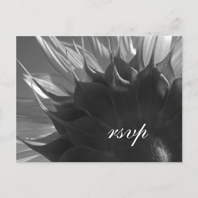 Black White Summer Garden Sunflower Wedding RSVP Invitation Postcard (Front)