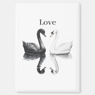 Black White Swans Birds Reflection Love Magnet