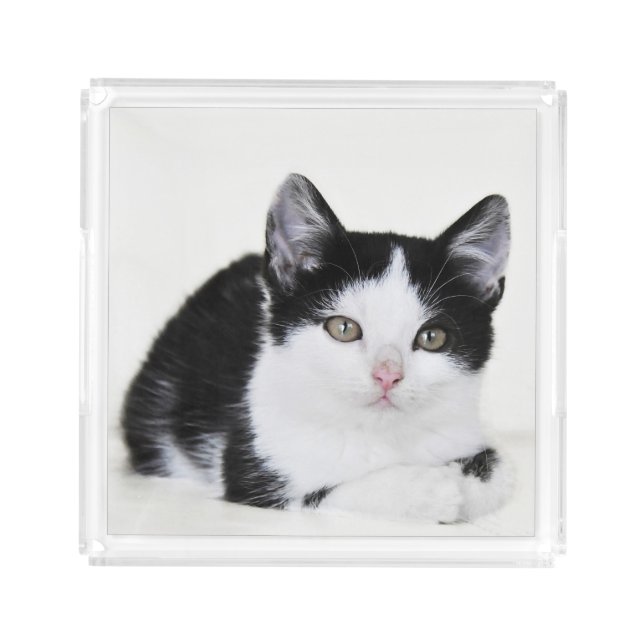 Black White Thoughtful Kitten Acrylic Serving Tray (Front)