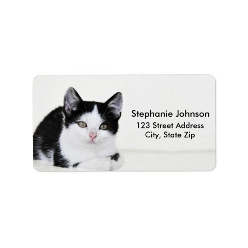 Black White Thoughtful Kitten Address Labels