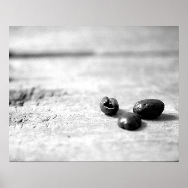 Black & White Three Dark Whole Coffee Beans 16x20  Poster (Front)