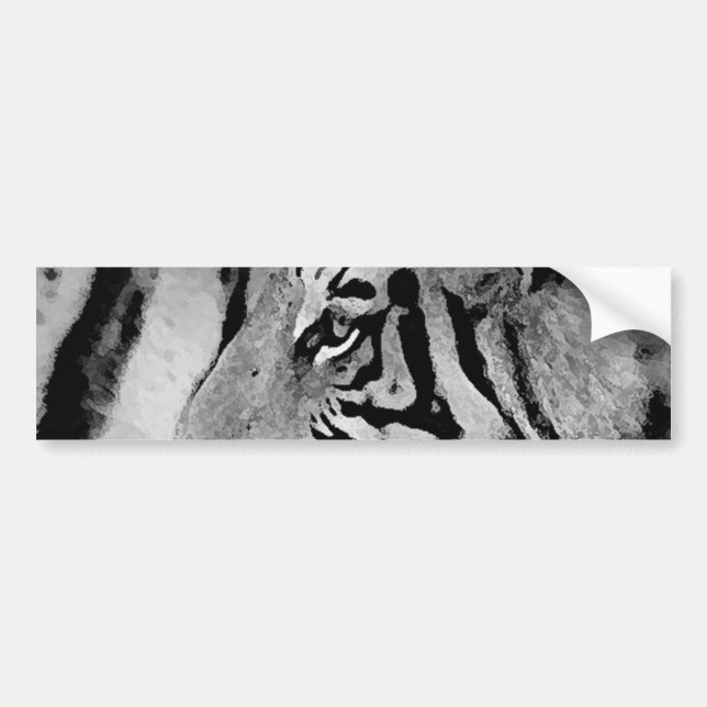 Black & White Tiger Bumper Sticker (Front)