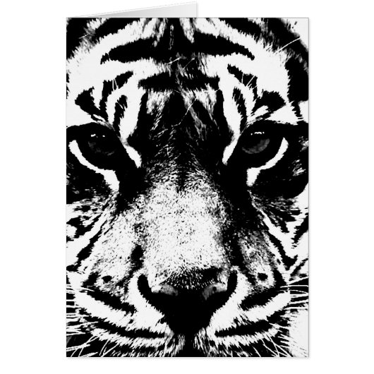 Black & White Tiger Cards (Front)