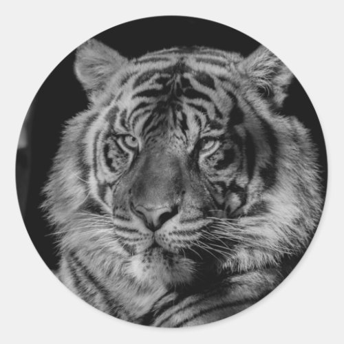 Black  White Tiger Classic Round Sticker