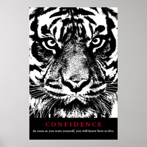 Black White Tiger Confidence Quote Inspirational Poster