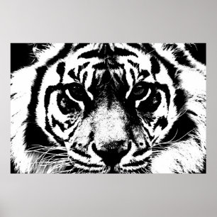 Black & White Tiger Eyes Poster