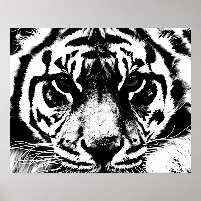 Black White Tiger Eyes Poster Print (Front)