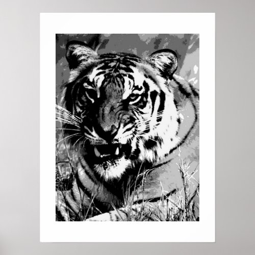 Black  White Tiger Face Poster Print