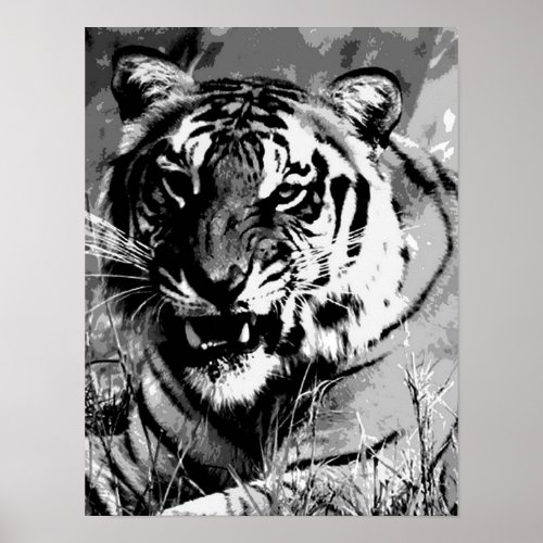 Black  White Tiger Face Poster Print