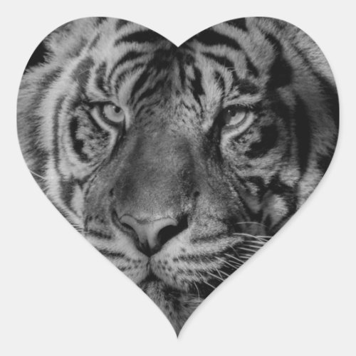 Black  White Tiger Heart Sticker