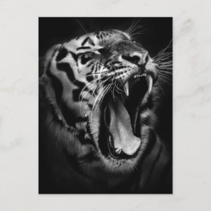 Black & White Tiger Inspirational Postcard