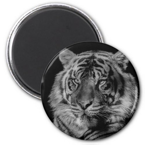 Black  White Tiger Magnet