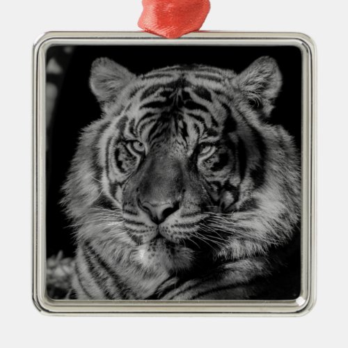 Black  White Tiger Metal Ornament