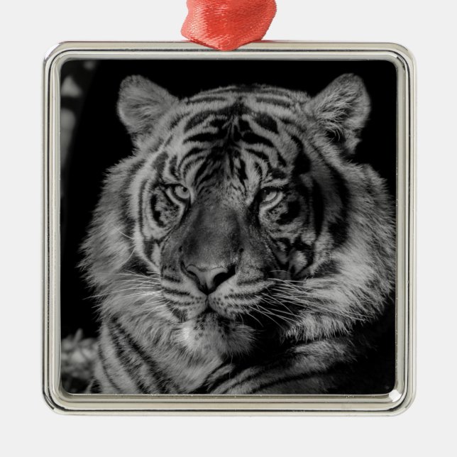 Black & White Tiger Metal Ornament (Front)