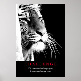 Black Amp White Tiger Motivational Challenge Poster Black Amp White Tiger Motivational Challenge Poster