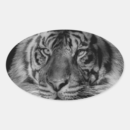 Black  White Tiger Oval Sticker