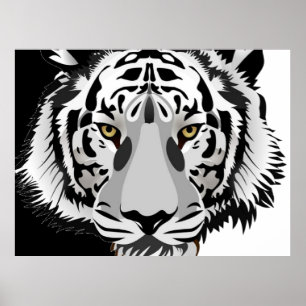 Black White Tiger  Poster