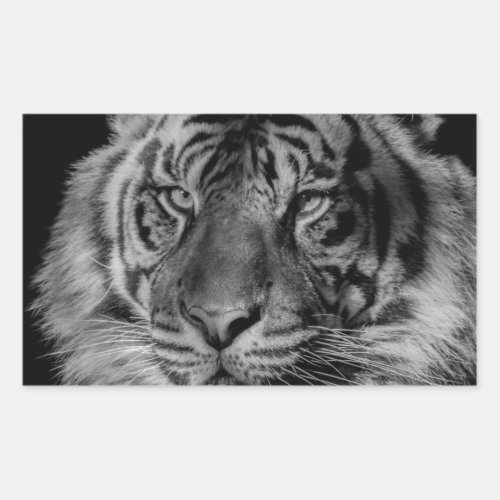 Black  White Tiger Rectangular Sticker