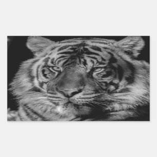Black & White Tiger Rectangular Sticker