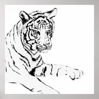 Black Amp White Tiger Sketch Poster Black Amp White Tiger Sketch Poster