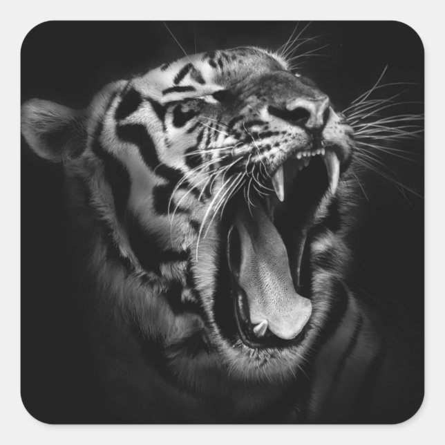 Black & White Tiger Square Sticker (Front)