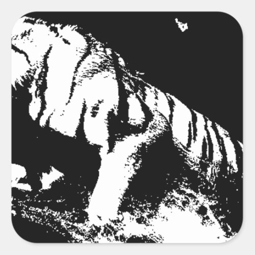 Black  White Tiger Square Sticker