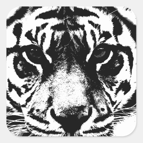 Black  White Tiger Square Sticker