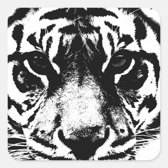 Black & White Tiger Square Sticker (Front)