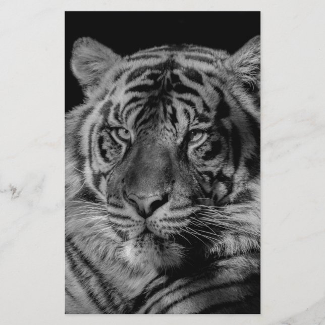 Black & White Tiger Stationery (Front)